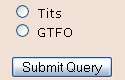 File:Tits or gtfo submit query.jpg