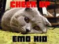 A sad kitty with caption "Cheer up emo kid"