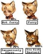Original catgirl furry levels