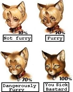 File:Furry or not - original.jpg